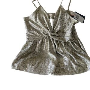 Skies Are Blue Silver Crop Top